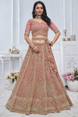 Light Pink Net Resham Embroidered Panelled Style Lehenga