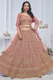 Light Pink Net Resham Embroidered Panelled Style Lehenga