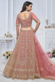 Light Pink Net Resham Embroidered Panelled Style Lehenga