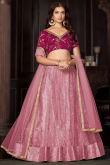 Light Pink Net Lehenga with Lace and Zari Embroidery