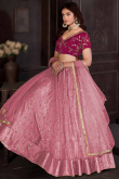 Light Pink Net Lehenga with Lace and Zari Embroidery