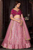 Light Pink Net Lehenga with Lace and Zari Embroidery