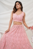 Light Pink Net Sequins Embroidered Panelled Style Lehenga 