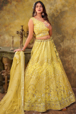 Light Yellow Embroidered Net A Line Lehenga
