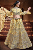 Light Yellow Net Embroidered Lehenga