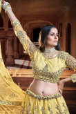Light Yellow Net Embroidered Lehenga