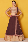 Brown Soft net Lehenga with Art silk Choli