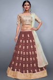 Brown Net Lehenga with Bangalori Silk Choli