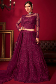 Magenta Pink Net Dori Embroidered Panelled Lehenga