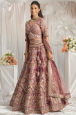 Mauve Pink Dori Embroidered Tissue Panelled Lehenga