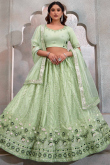 Mint Green Embroidered Net Flared Style Lehenga