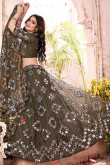 Moss Green Net Embroidered Lehenga With Faux Mirror Work