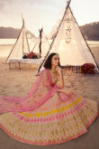 Multi Color Organza Embroidered Lehenga