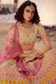 Multi Color Organza Embroidered Lehenga