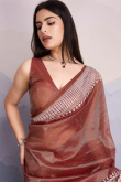 Muqayyash Embroidered Brown Shimmer Net Saree