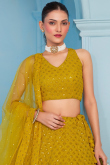 Mustard Yellow Embroidered Georgette Panelled Style Lehenga