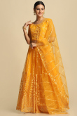 Mustard Yellow Embroidered Net Panelled Style Lehenga