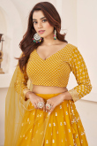 Mustard Yellow Georgette Embroidered Panelled Style Lehenga 