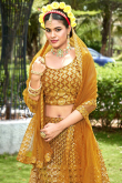 Mustard Yellow Net Lehenga With Thread Embroidery