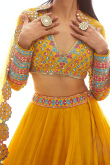 Mustard Yellow Organza Embroidered Flared Style Lehenga 