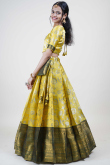 Mustard Yellow Silk Woven Zari Flared Lehenga