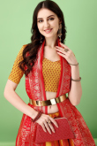 Mustard Yellow Silk Woven Zari Panelled Style Lehenga