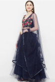 Navy Blue Lehenga With Resham Work