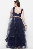 Navy Blue Lehenga With Resham Work
