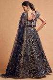 Navy Blue Net Embroidered Lehenga
