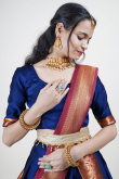 Navy Blue Weaved Zari Silk South Indian Style Lehenga