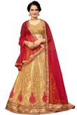 Net Beige Embroidered Indian Lehenga Choli