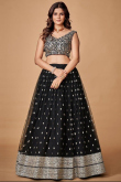 Net Black Dori Embroidered Flared Lehenga