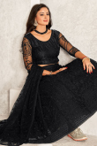 Net Black Resham Embroidered Panelled Style Lehenga 