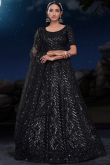 Net Black Sequins Embroidered Panelled Lehenga 