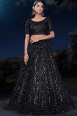 Net Black Sequins Embroidered Panelled Lehenga 