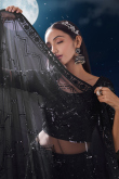 Net Black Sequins Embroidered Panelled Lehenga 