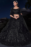 Net Black Sequins Embroidered Panelled Lehenga 