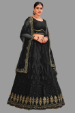 Net Black Stone Embellished Panelled Style Lehenga