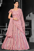 Net Blush Pink Embroidered Flared Lehenga