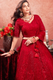 Net Cherry Red Sequins Embroidered Panelled Lehenga 