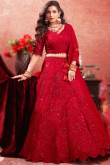 Net Cherry Red Sequins Embroidered Panelled Lehenga 