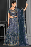Net Dark Blue Sequins Embroidered Panelled Lehenga