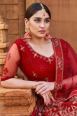 Net Deep Red Resham Embroidered Panelled Style Lehenga 