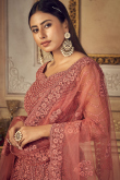 Net Dori Embroidered Dusty Peach Panelled Style Lehenga 