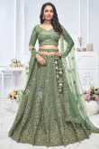 Net Dusty Green Resham Embroidered Panelled Style Lehenga 