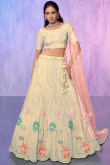 Net Embroidered Cream Beige Panelled Style Lehenga