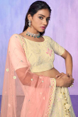 Net Embroidered Cream Beige Panelled Style Lehenga