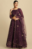 Net Embroidered Dark Wine Maroon Panelled Style Lehenga