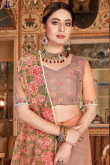 Net Embroidered Dusty Peach Saree