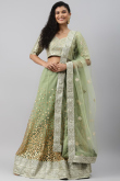 Net Lace Embroidered Sage Green Panelled Style Lehenga